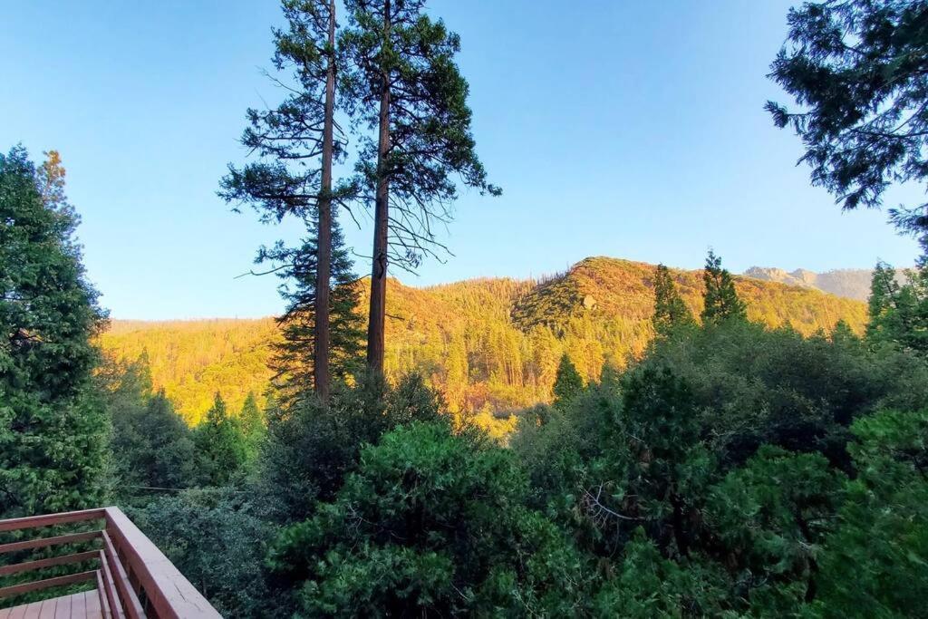 Redwood Retreat, Mountains, Adventure And Nature Ponderosa Exterior foto
