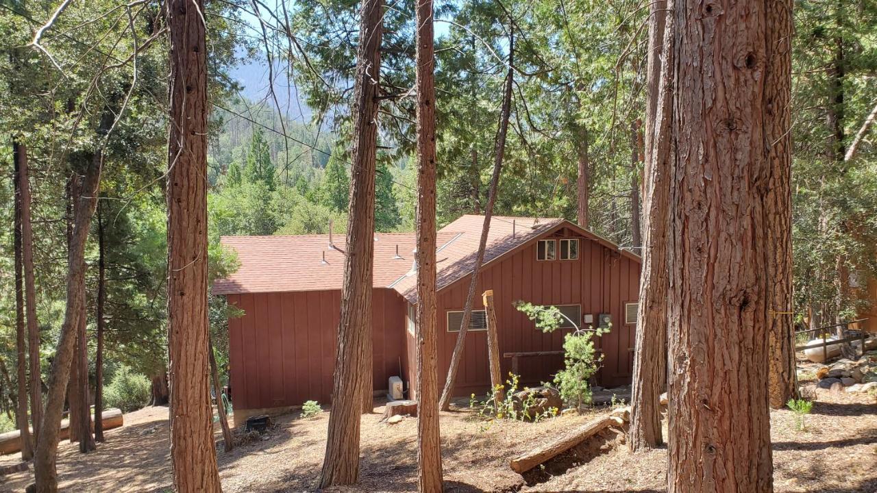 Redwood Retreat, Mountains, Adventure And Nature Ponderosa Exterior foto