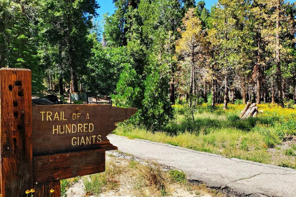 Redwood Retreat, Mountains, Adventure And Nature Ponderosa Exterior foto